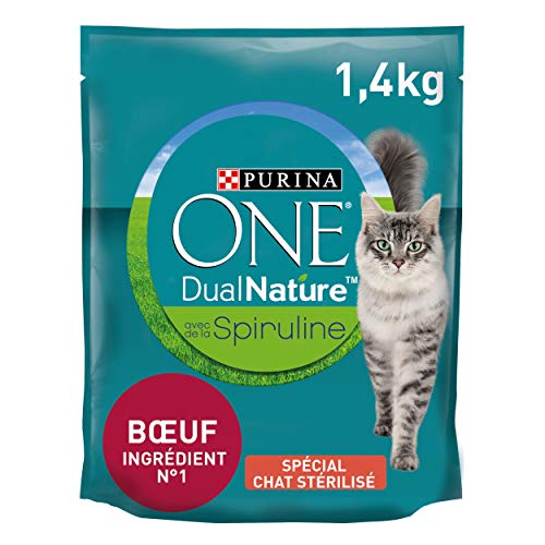 Meilleur croquettes chat en 2023 [Basé sur 50 avis d’experts]