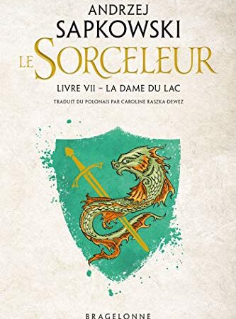 Sorceleur (Witcher), T7 : La Dame du lac